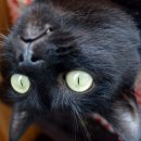 세상을피우다 이미지