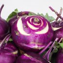 자매농장 이미지