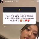 전이랑국시랑 이미지