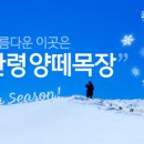 풍전목장 이미지
