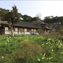 비자숲민박 이미지