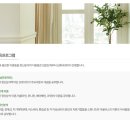 박진숙심리상담센터