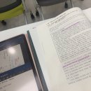 2604 벚꽃의 꽃말은 중간고사