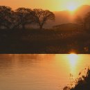 아침들녘 이미지