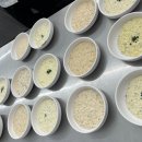 을지로요리학원 직장인이 주말반으로 양식조리기능사 도전한 솔직 후기