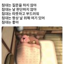 모가 이미지