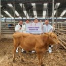 경기도축산진흥센터 이미지