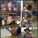 상민농장 티스토리