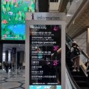 캣솔루션 | 강남 코엑스 데이트, 가낳지모 캣페어 2025 이벤트 후기