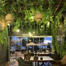 수아하우스 | 일몰이 정말 예쁜 크로아티아 소도시 추천 여행지 &lt;자다르&gt; 여행 및 비건 맛집 &lt;The botanist&gt; 후기