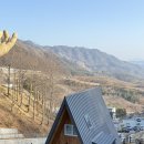 숲속애견샵 | 거창 산림레포츠파크 숲속의집 애견동반후기