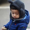 참조은태권도 이미지