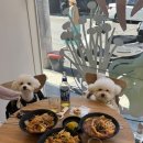 마마구구 황금점 이미지