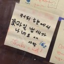 블룸오아낫