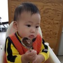 영천부산가야밀면