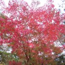 치악예술관 이미지