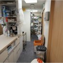 죽전 쿨펫동물병원 | 반려동물의 건강 비밀을 지키는 죽전쿨펫동물병원의 특별한 서비스