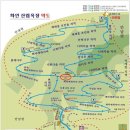 화인애견 네이버블로그