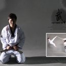 용인대쌍용태권도 이미지