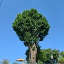 성북역사문화공원 앞 이미지