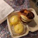 빵이펫살롱 이미지