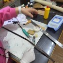 오유가죽공방