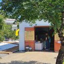 하례로 | 내돈내산 제주 감귤체험 &#39;하례감귤체험농장&#39; 인생귤 발견!