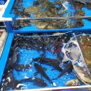 우성수산 이미지