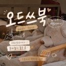 신당 놀거리 오드쓰북, 무인 북카페에서 혼놀부터 데이트까지