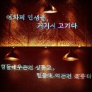 인생은고기서고기다