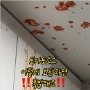 ❗❗토마토 소스 곰팡이막는다고 뒤집어서 보관하면 폭발함 ❗❗ 이미지