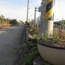 정돈농장 이미지