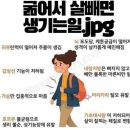 최고점핑 네이버블로그