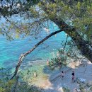 주간탁구 이미지