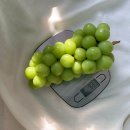 샤인농장 이미지