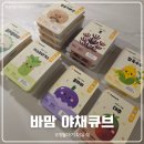 큐브 | 이유식이 편해지는 바맘 이유식 야채큐브 후기 (11개월 후기이유식, 유아식)