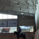 정철희 국제승마센터 이미지