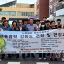 사르넬리 이미지