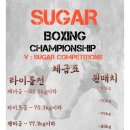 슈가복싱 프리미엄 이미지