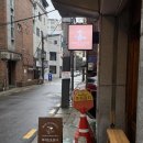 마지드도로시