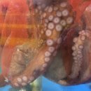 조광상회 이미지