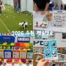 K앤H트레이딩 | 2026 수원 펫&amp;캣쇼 첫날 현장 분위기 솔직 후기 광교 수원컨벤션센터 펫박람회