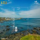 [추천 45선] 걷기 좋은 여행지 l 포항, 암석해안을 따라 쪽빛 절경을 걷는 해파랑길 14코스
