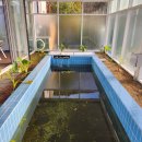 연희재 애견펜션 이미지