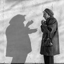 세종특별자치시 치매안심센터(어진동) 이미지