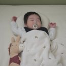 골든엔젤 | 신생아 두상베개 시기 고민될 때, 엔젤앤비 높이조절 아기베개 추천