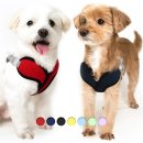 아띠지기 이미지