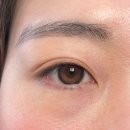 디자인신우 | 춘천 오아루뷰티 ㅣ[속눈썹펌] 쌍커풀 라인에 끼지 않는 동글바짝 LC컬 디자인 후기 (비포애프터)