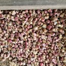 무안수퍼 이미지