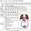 서울소방공무원 소방학개론 및 소방법규 시험복원(11. 05.14), 소방안전교육사, 소방설비기사, 소방승진,소방간부후보생 이미지